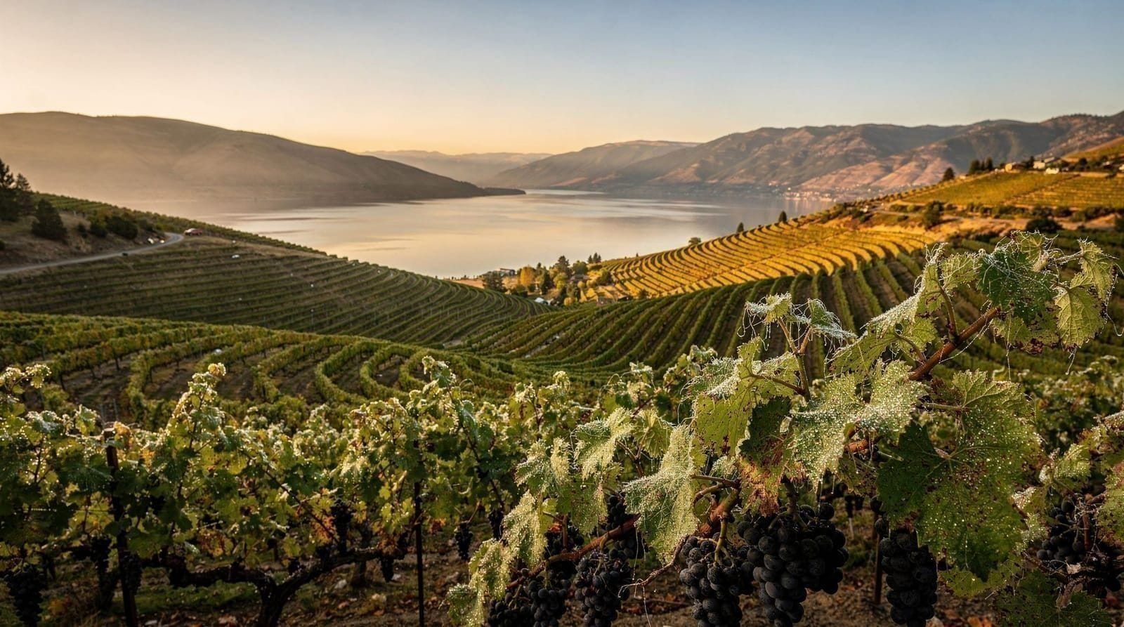 Okanagan wine country, Vancouver BC