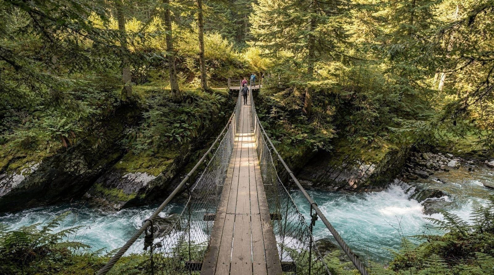 Capilano vs Lynn Canyon — which suspension bridge is worth it
