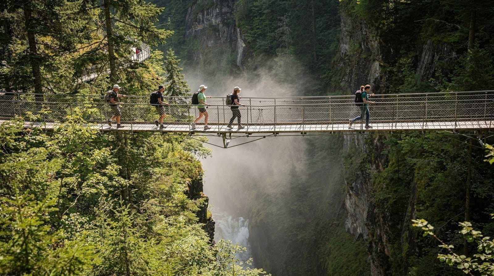 Lohnt sich die Capilano Suspension Bridge? Ein ehrliches Urteil — Lohnt sich der Capilano Suspension Bridge Park für CAD 65-70? Eine ehrliche Anal