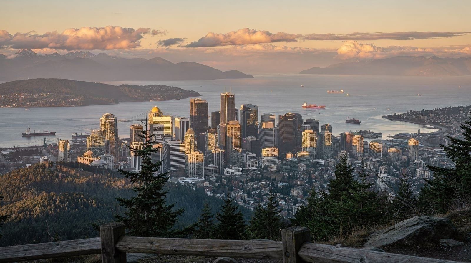 Cypress Lookout viewpoint guide