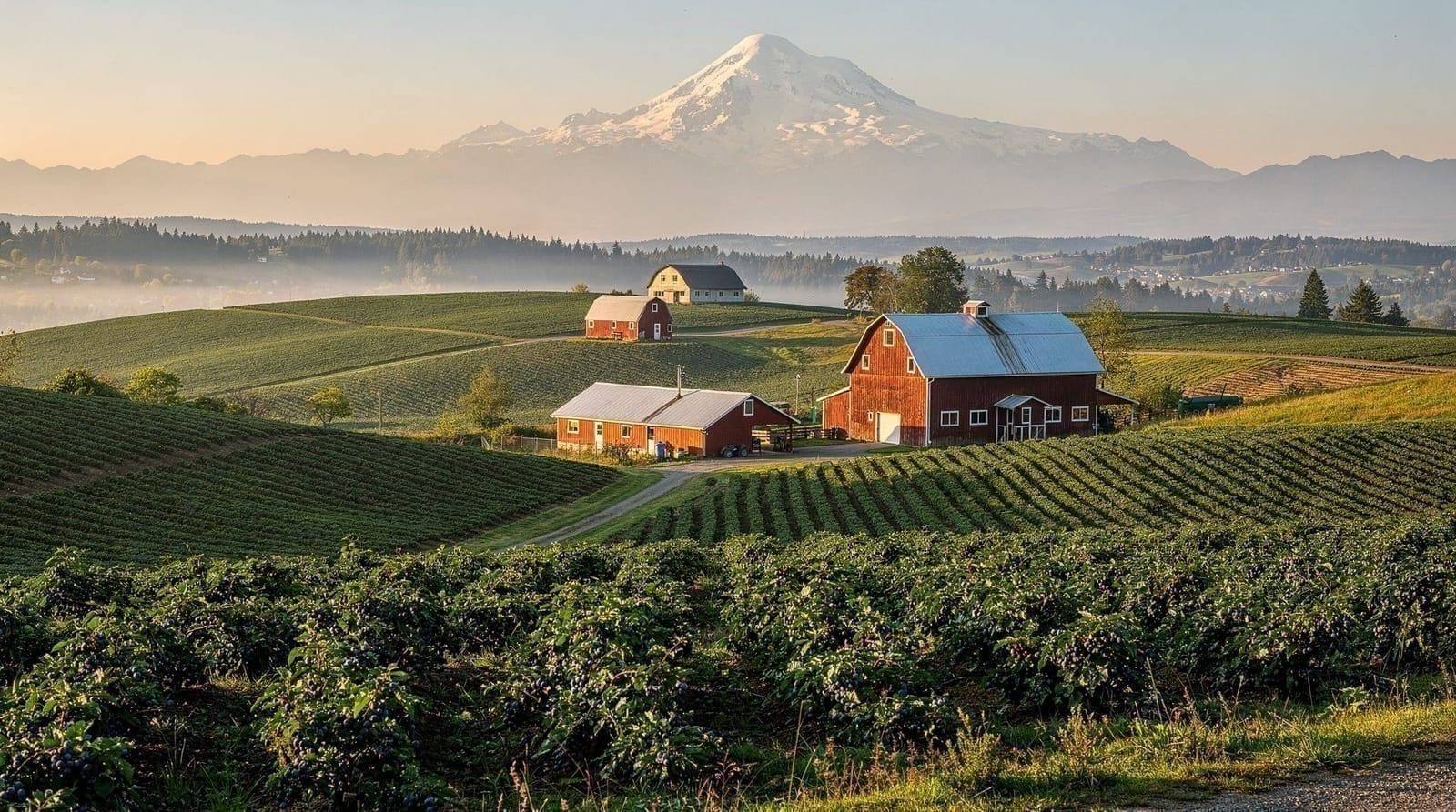 Excursión de un día al Fraser Valley desde Vancouver: Fort Langley, granjas y carreteras secundarias — Una excursión de un día más pausada desde Vancouver por el Fraser Valley: la his