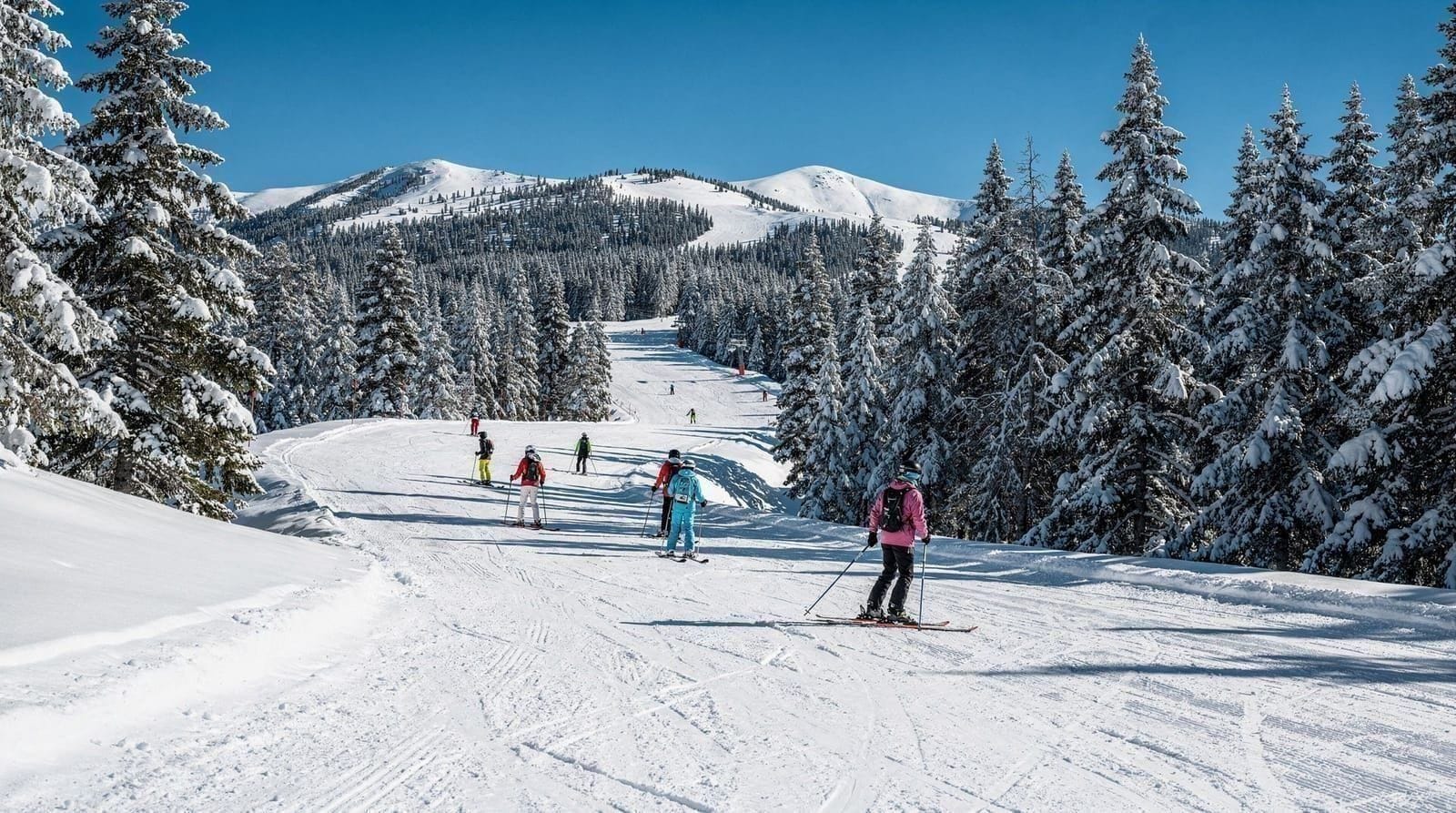 Grouse Mountain vs Cypress Mountain vs Mount Seymour — Ein sachlicher Vergleich von Vancouvers drei North-Shore-Bergen — Zugang, Kosten