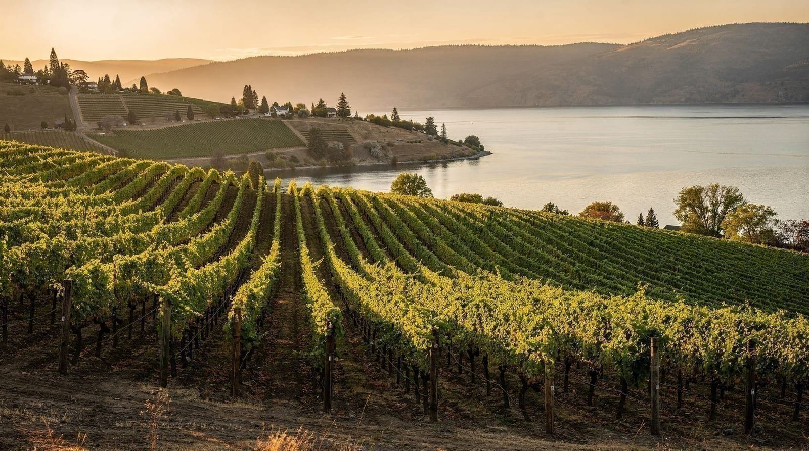 Okanagan desde Vancouver — por qué no es una excursión de un día y cómo planificar la visita — Cómo ir de Vancouver al Okanagan — tiempos de coche y de vuelo, por qué hacen fa