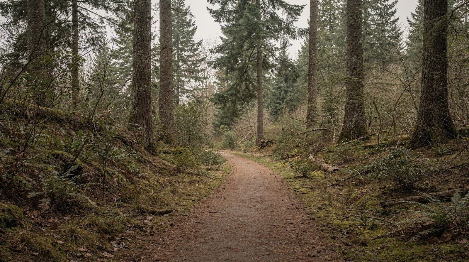 Guida al Pacific Spirit Regional Park