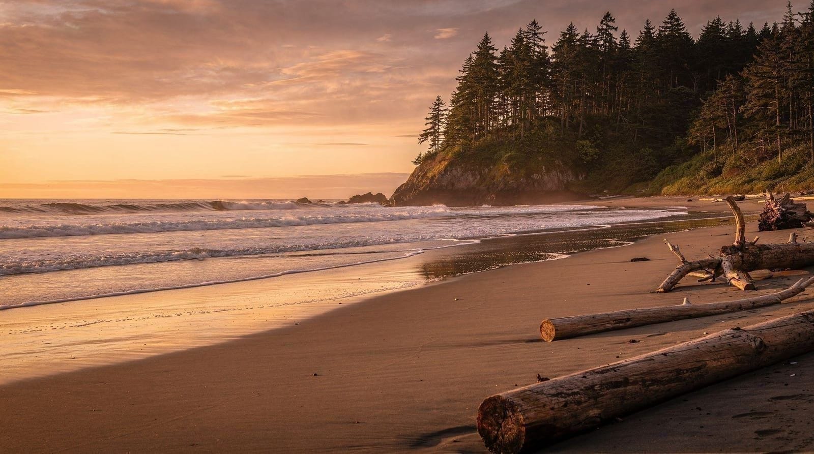 Viaje a Tofino desde Vancouver — por qué no es una excursión de un día y cómo planificarlo — Cómo llegar de Vancouver a Tofino, tiempos de viaje reales en ferry, carretera y