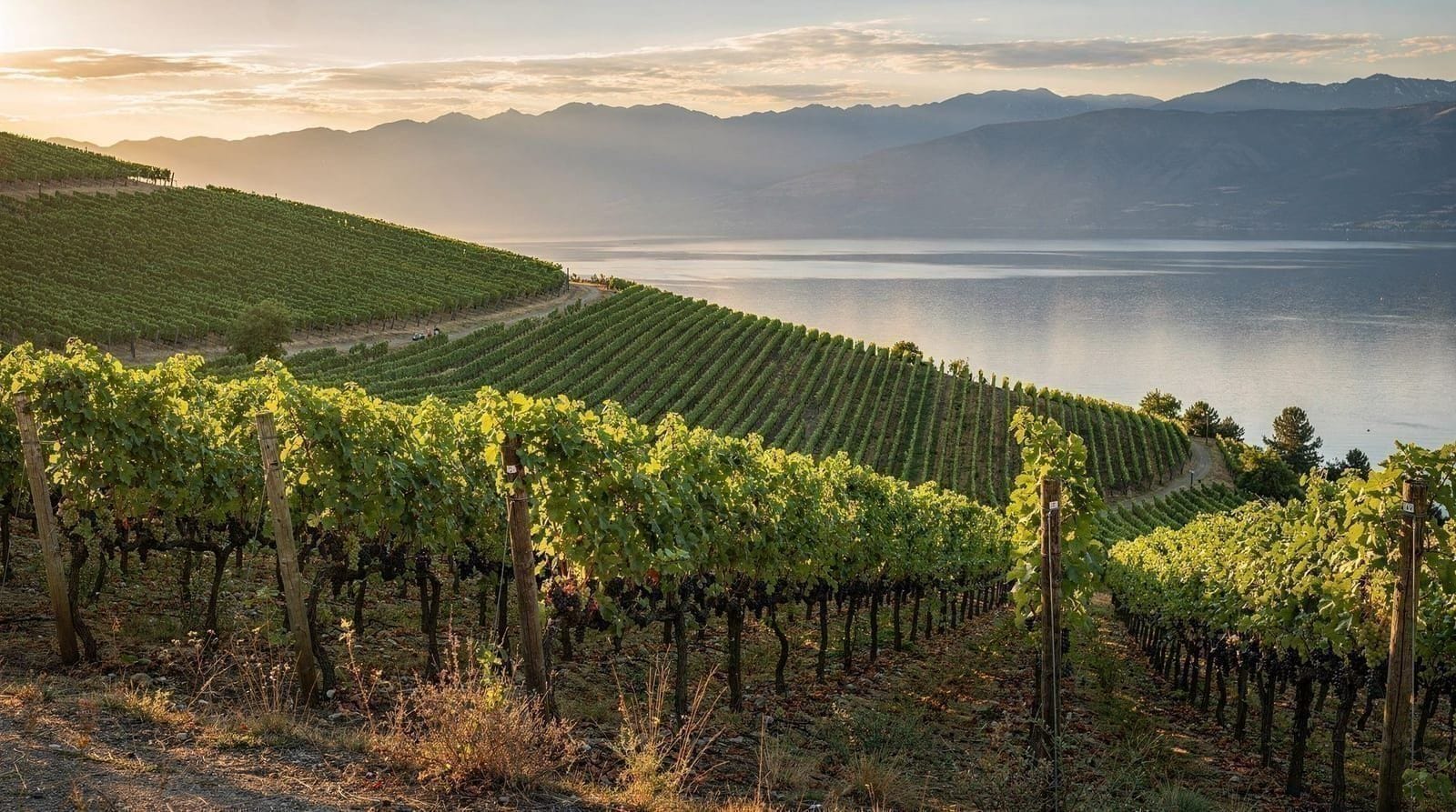 De Vancouver a la región vinícola de Okanagan en 6 días — Itinerario de 6 días de Vancouver a Kelowna y Penticton: opciones de trayecto o 
